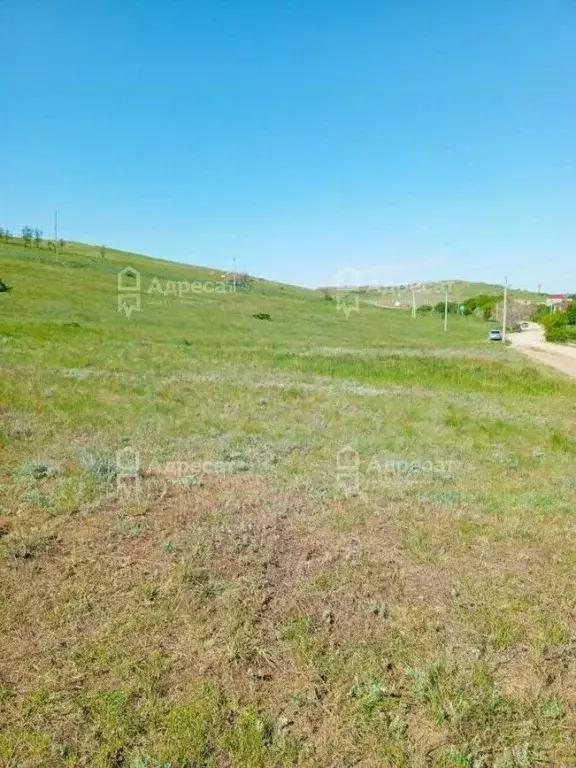 Участок в Волгоградская область, Городищенский район, ... - Фото 1