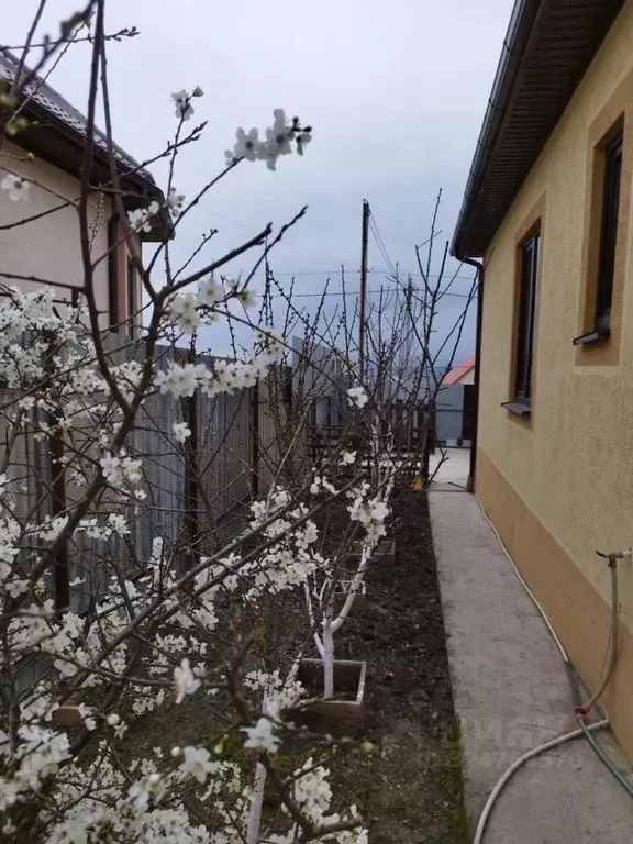 Дом в Краснодарский край, Новороссийск городской округ, Раевская ст-ца ... - Фото 2