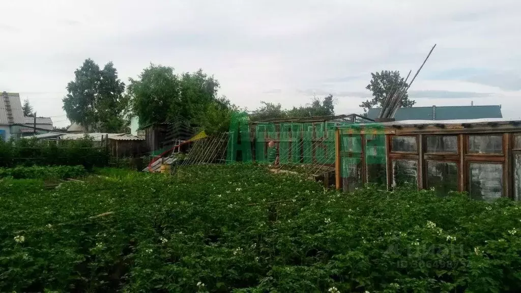 Дом в Забайкальский край, Чита № 26 Ремстрой СОНТ, 160 (34 м) - Фото 2