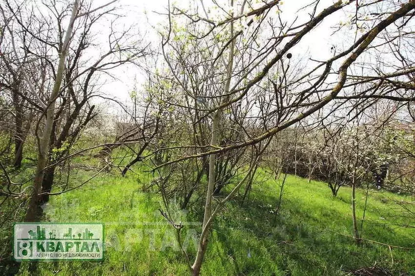 Участок в Краснодарский край, Новороссийск городской округ, Убых хут., ... - Фото 0