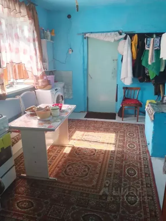 Дом в Челябинская область, с. Кунашак ул. Карла Маркса, 9 (28 м) - Фото 1