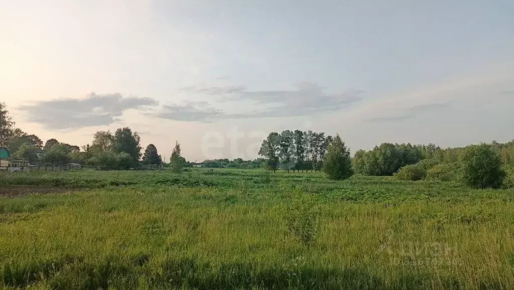 Участок в Ярославская область, Ярославский муниципальный округ, д. ... - Фото 1