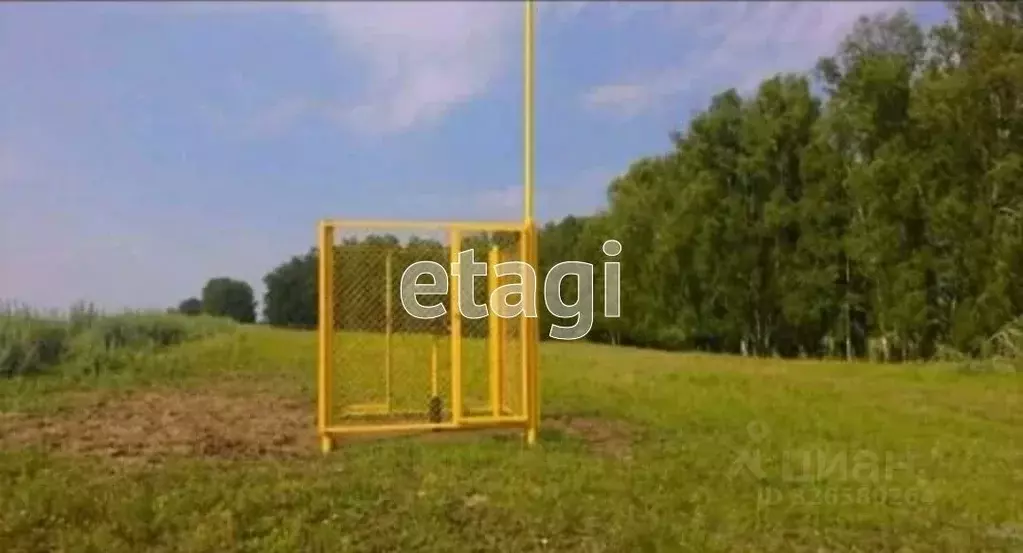 Участок в Новосибирская область, Искитимский район, Совхозный ... - Фото 1