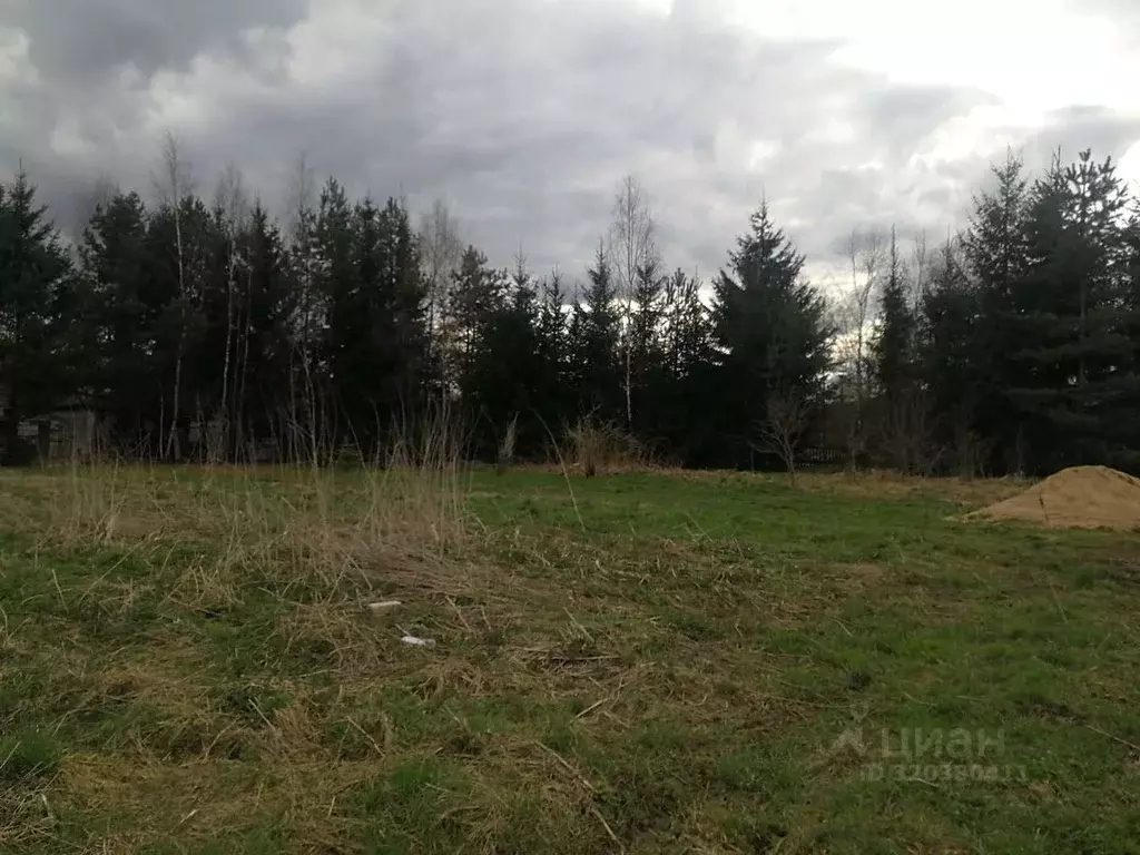 Участок в Смоленская область, Смоленский муниципальный округ, д. ... - Фото 2