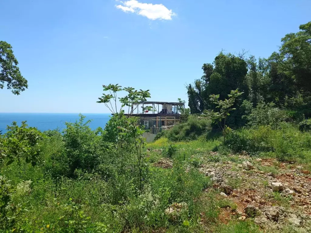 Участок в Крым, Алушта муниципальный округ, с. Малый Маяк ул. ... - Фото 1
