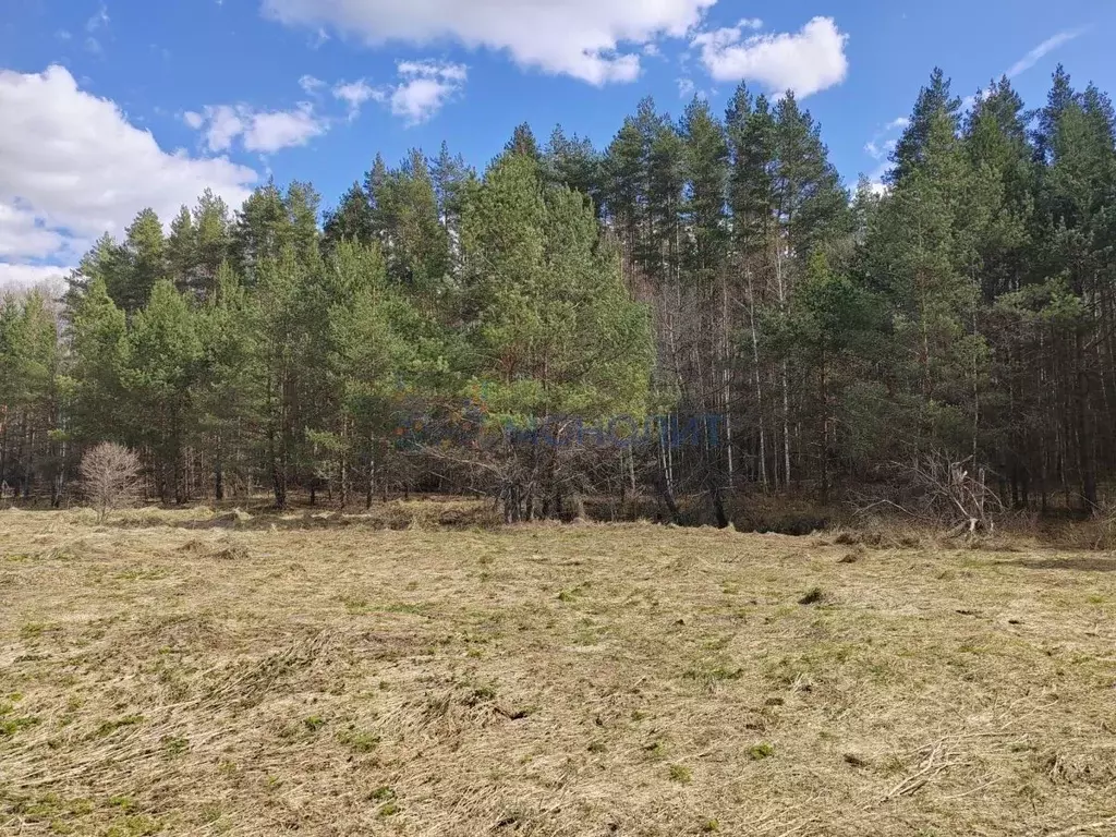 Участок в Нижегородская область, Богородский муниципальный округ, д. ... - Фото 1