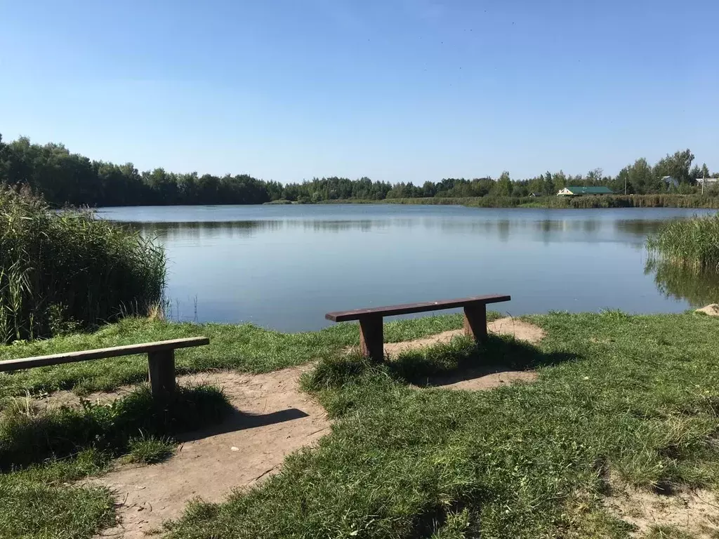 Участок в Московская область, Богородский городской округ, Светлячок ... - Фото 0