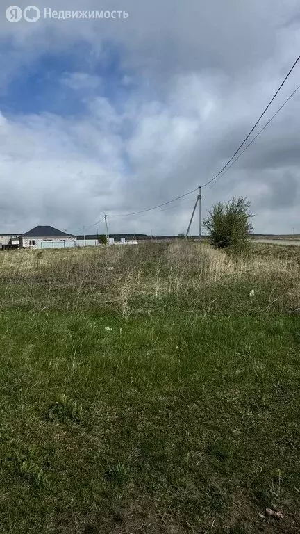 Участок в Засечный сельсовет, село Лебедёвка, Родниковая улица (15 м) - Фото 0