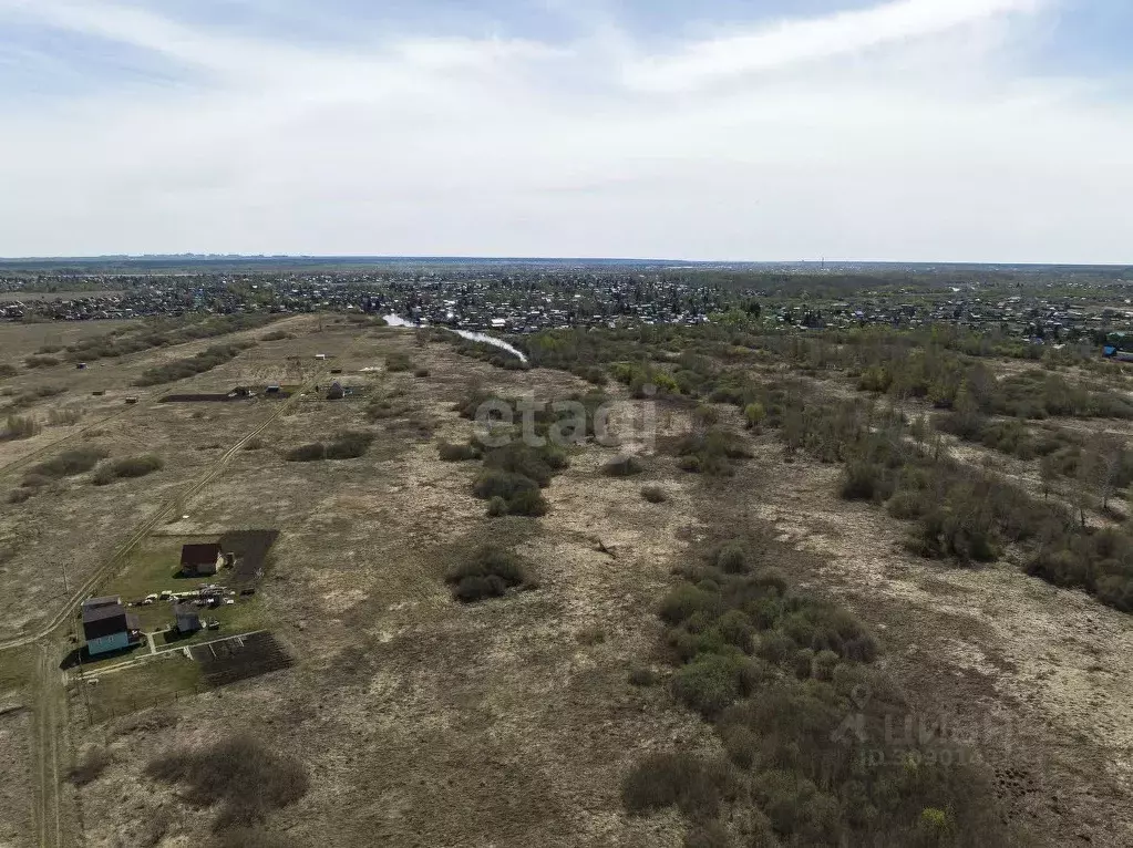 Участок в Новосибирская область, Колыванский район, Союз силовых ... - Фото 1