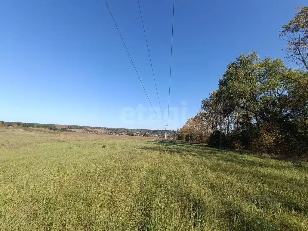 Участок в Курская область, Курский район, Моковский сельсовет, д. ... - Фото 2