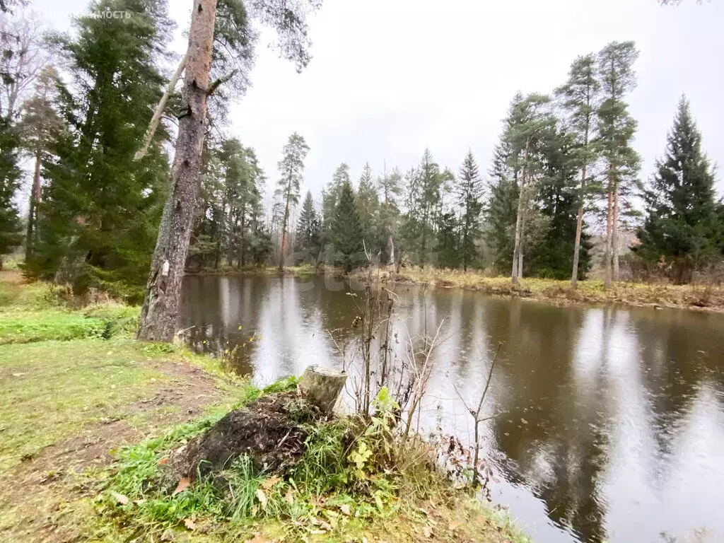 Участок в Ярославская область, Рыбинский муниципальный округ, село ... - Фото 1