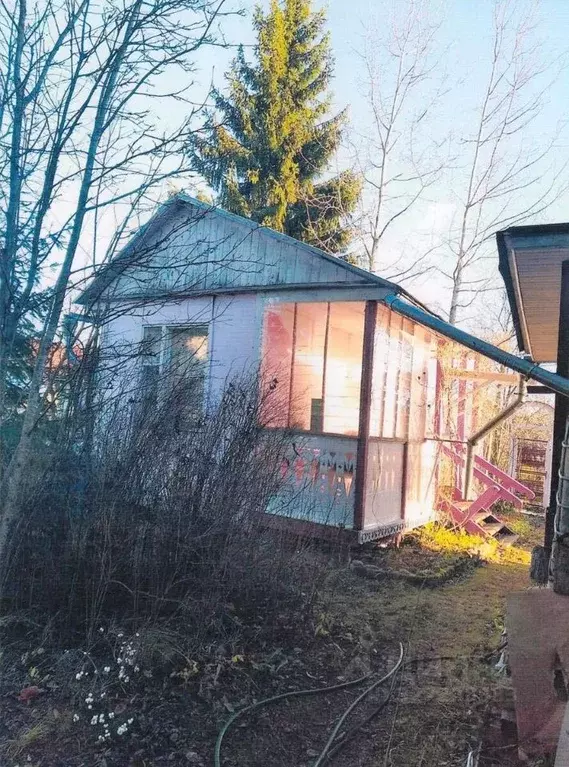 Участок в Ленинградская область, Гатчинский муниципальный округ, Чаща ... - Фото 2