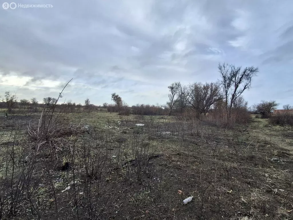 Участок в Ейск, СНТ Виктория, 1-я улица (5 м) - Фото 0