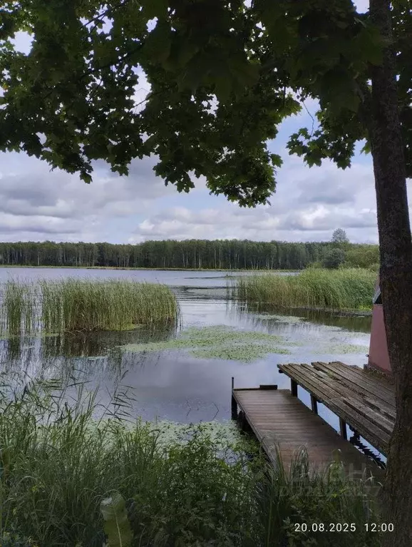 Дом в Тверская область, Конаково Мошковец СНТ, 91Б (60 м) - Фото 1