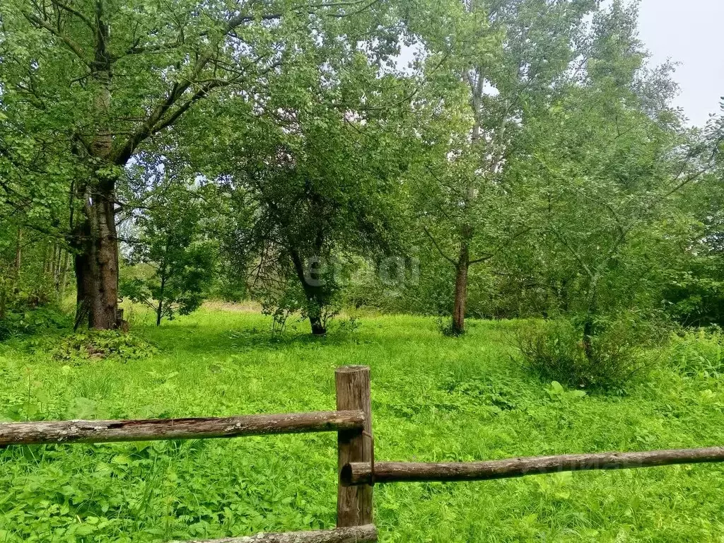 Участок в Псковская область, Пушкиногорский район, Велейская волость, ... - Фото 0