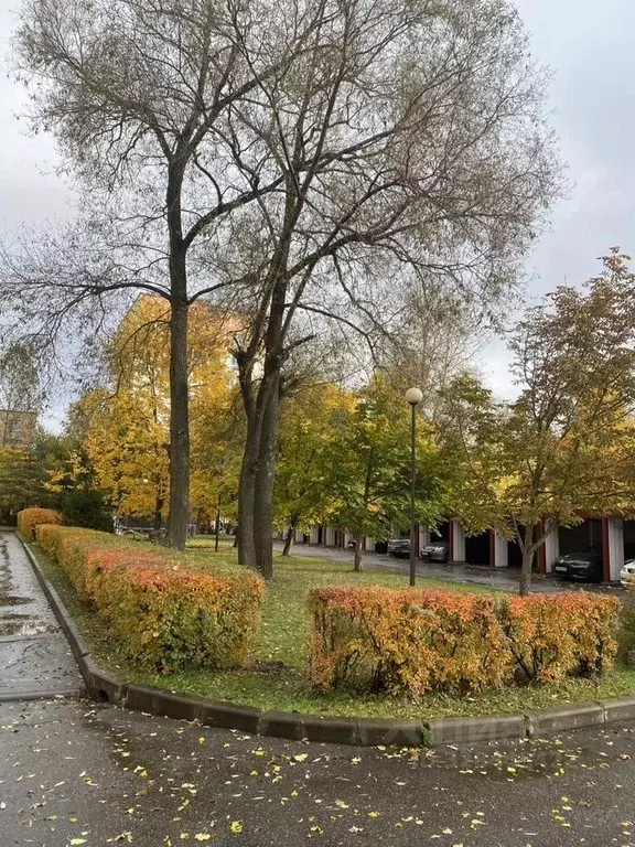 3-к кв. Санкт-Петербург Трамвайный просп., 13к4 (132.0 м) - Фото 1