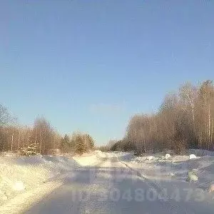 участок в красноярский край, емельяновский район, мининский сельсовет, . - Фото 0