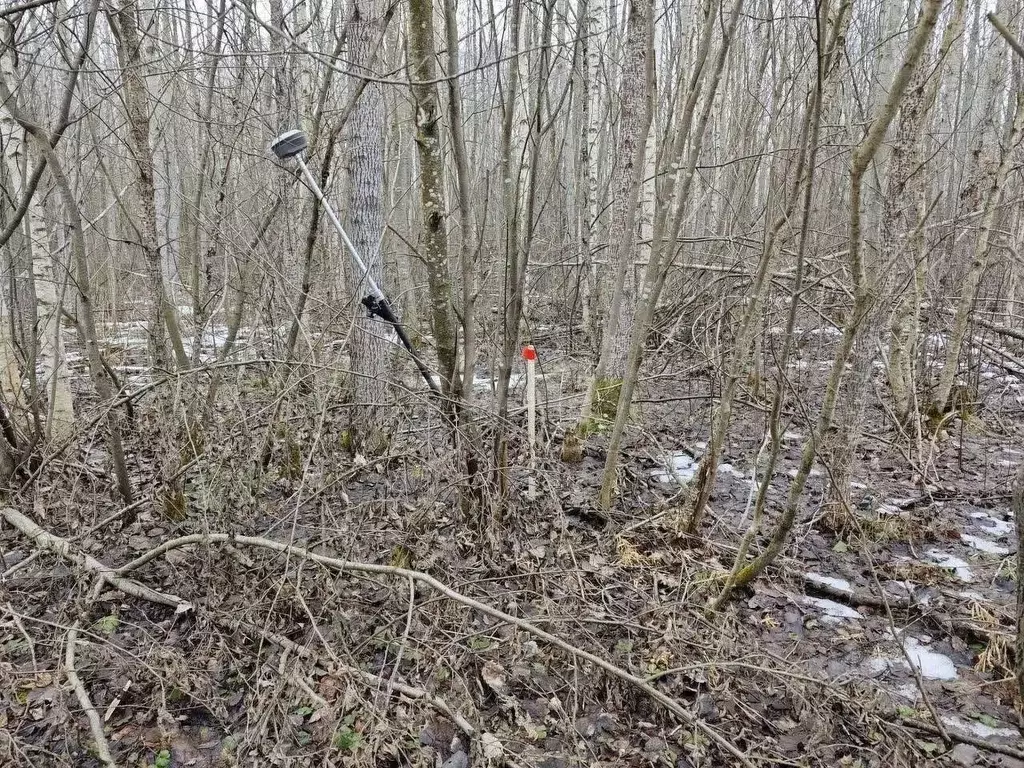 Участок в Вологодская область, Вологда Медик садоводческое ... - Фото 2