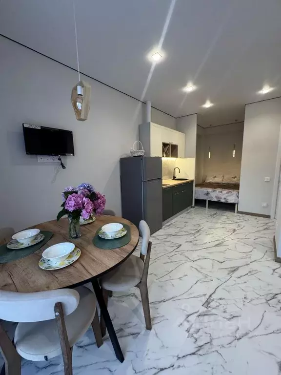 Студия Краснодарский край, Сочи городской округ, Дагомыс пгт ул. ... - Фото 2