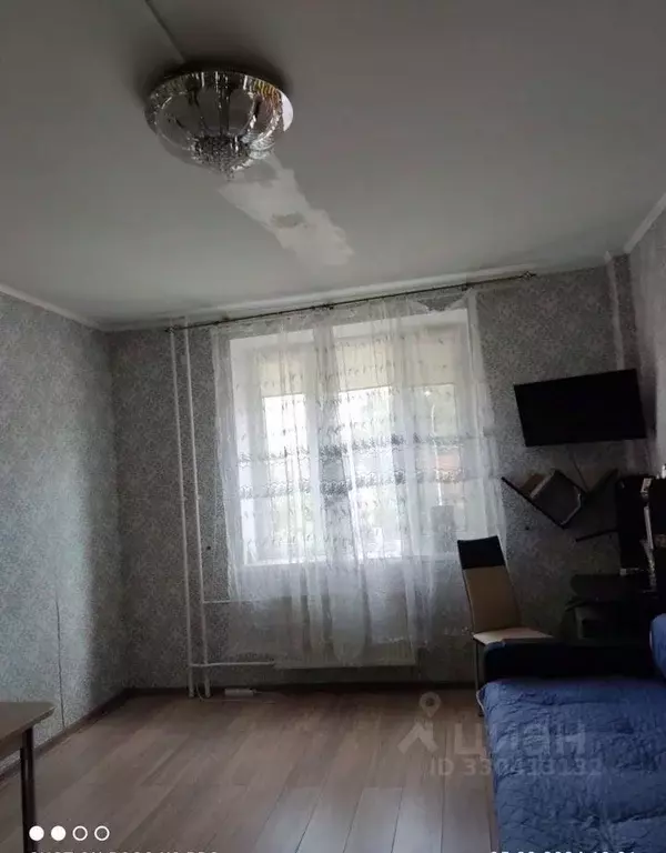 Студия Московская область, Раменское ул. Крымская, 1А (21.0 м) - Фото 1