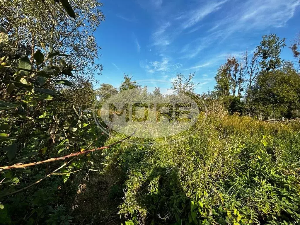 Участок в Калининградская область, Калининград Мелиоратор СНТ, ул. ... - Фото 1