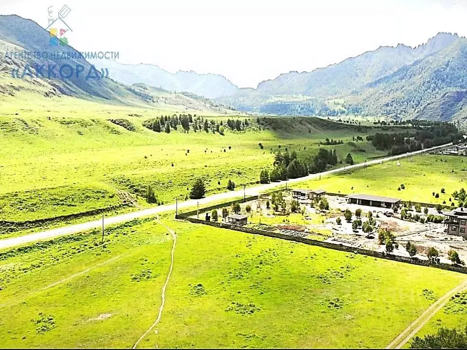 Участок в Алтай, Чемальский район, с. Чемал  (10.0 сот.) - Фото 1