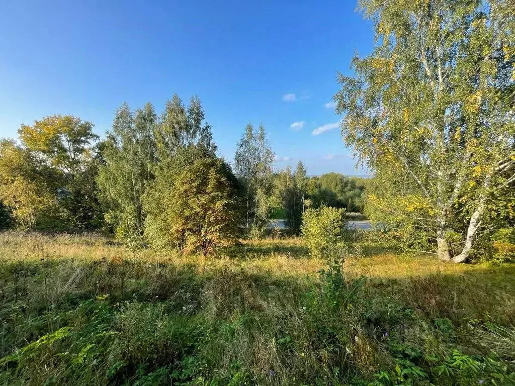 Участок в Ярославская область, Переславль-Залесский городской округ, ... - Фото 0