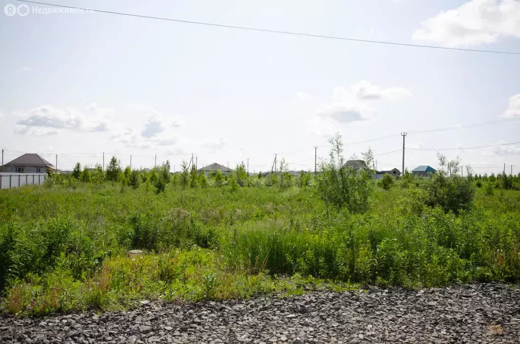 Участок в Заводоуковск, улица Архитекторов (9.9 м) - Фото 2