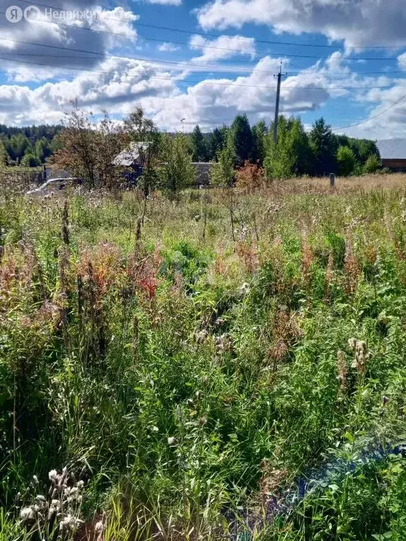 Участок в село Николо-Павловское, Совхозная улица (12 м) - Фото 0