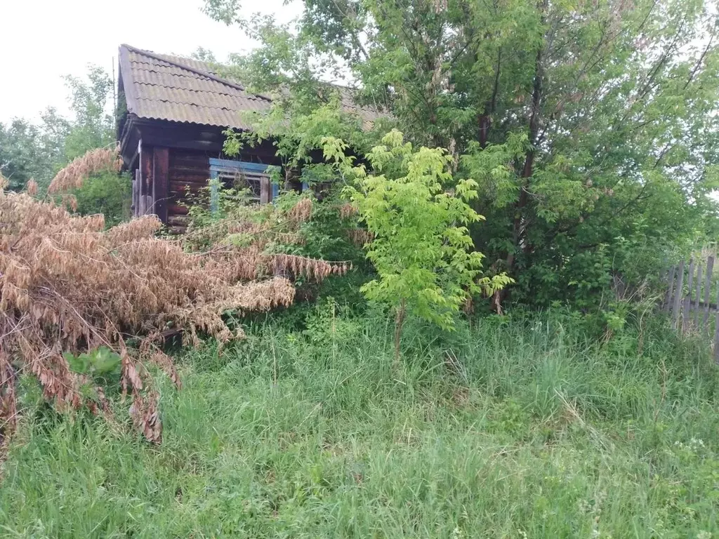 Погода суртайка алтайский край