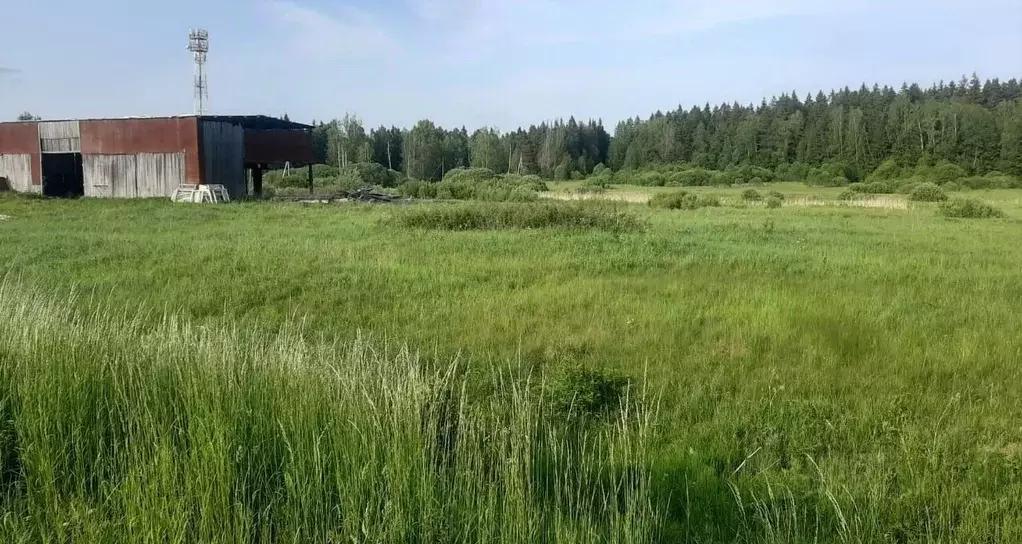 Участок в Московская область, Наро-Фоминский городской округ, д. ... - Фото 1