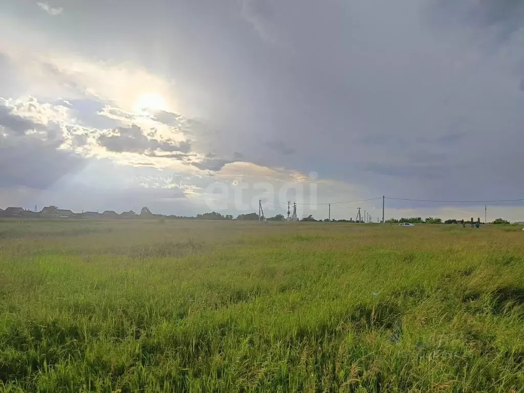 Участок в Воронежская область, Борисоглебский городской округ, с. ... - Фото 1