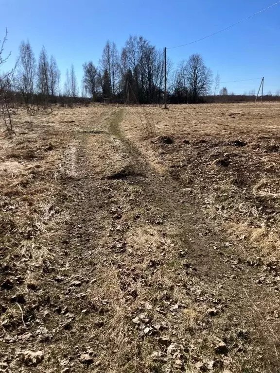 Участок в Псковская область, Гдовский муниципальный округ, д. ... - Фото 2
