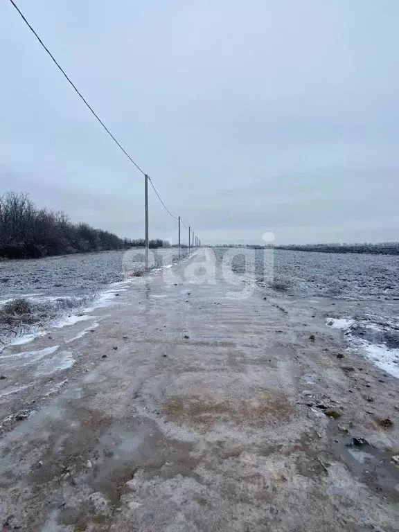 Участок в Ростовская область, Мясниковский район, Краснокрымское ... - Фото 0