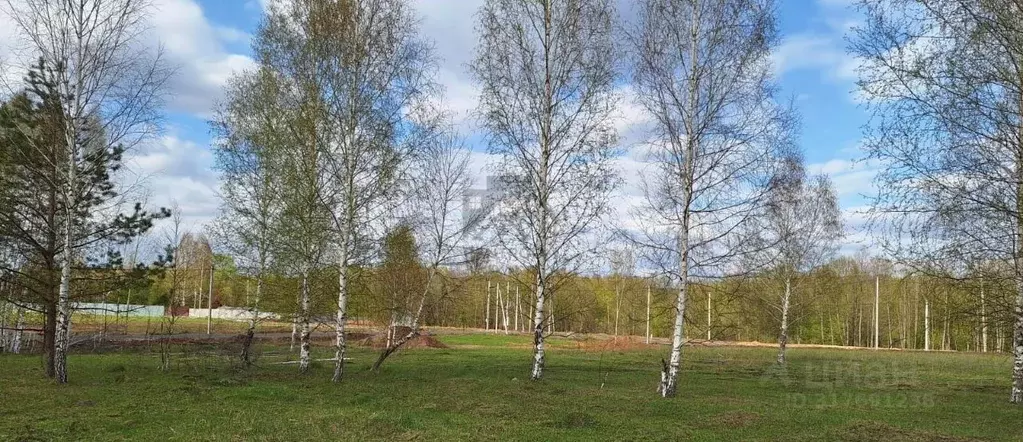 Участок в Татарстан, Высокогорский район, с. Семиозерка Новая ул., 2В ... - Фото 1