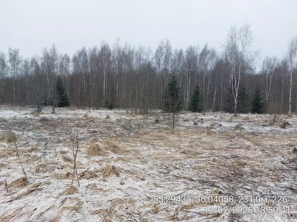 Участок в Московская область, Наро-Фоминский городской округ, д. ... - Фото 0