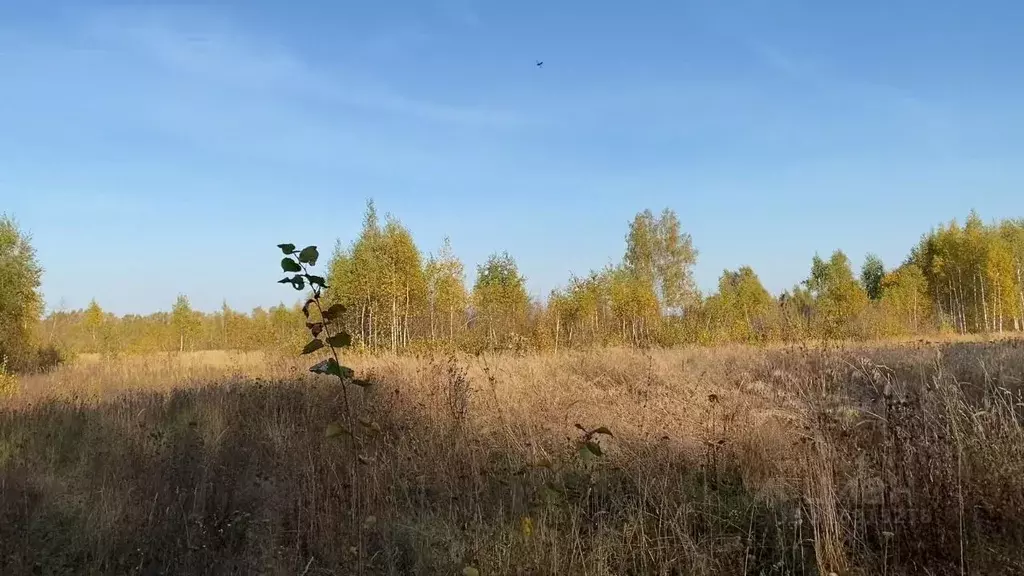 Участок в Московская область, Кашира городской округ, д. Никулино  ... - Фото 0