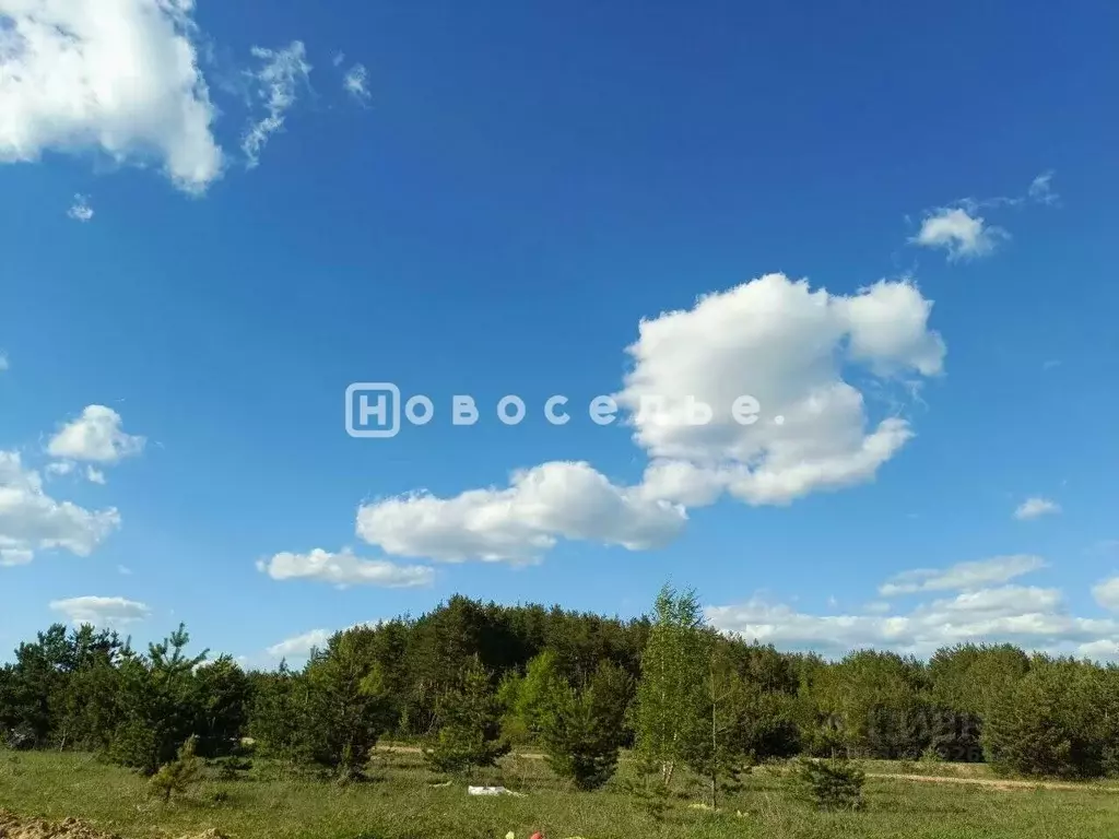 Участок в Рязанская область, Рязанский район, Дубровическое с/пос, с. ... - Фото 2