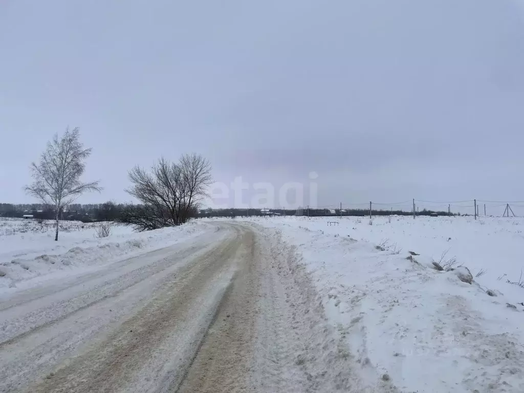 Участок в Тульская область, Тула городской округ, с. Теплое ул. ... - Фото 2