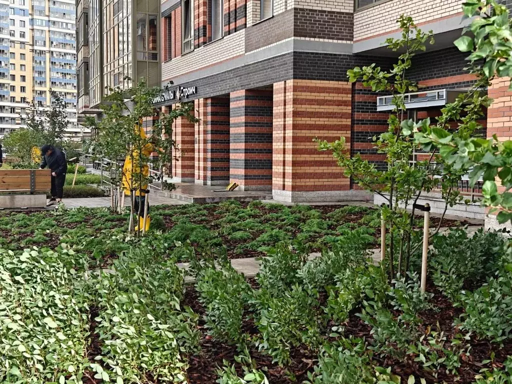 Студия Санкт-Петербург Коломяжский просп., 13к2 (27.0 м) - Фото 2