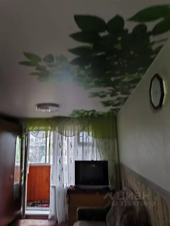 Студия Алтайский край, Барнаул ул. Чеглецова, 62 (20.0 м) - Фото 0