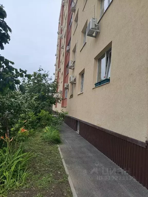 1-к кв. Самарская область, Тольятти ул. Горького, 74 (42.0 м) - Фото 0