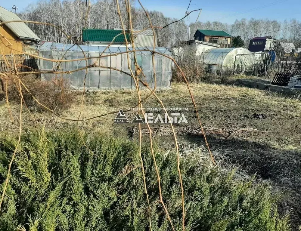Участок в Новосибирская область, Новосибирск Пион садовое ... - Фото 1