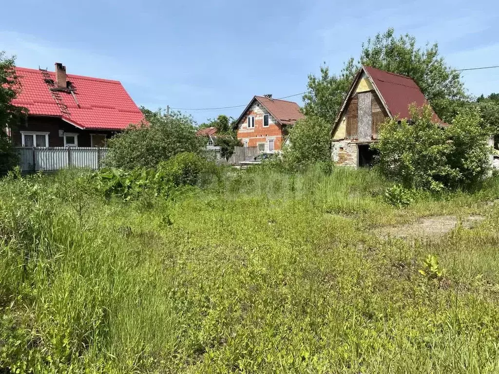 Участок в Калининградская область, Калининград Ромашка СНТ, ул. ... - Фото 1