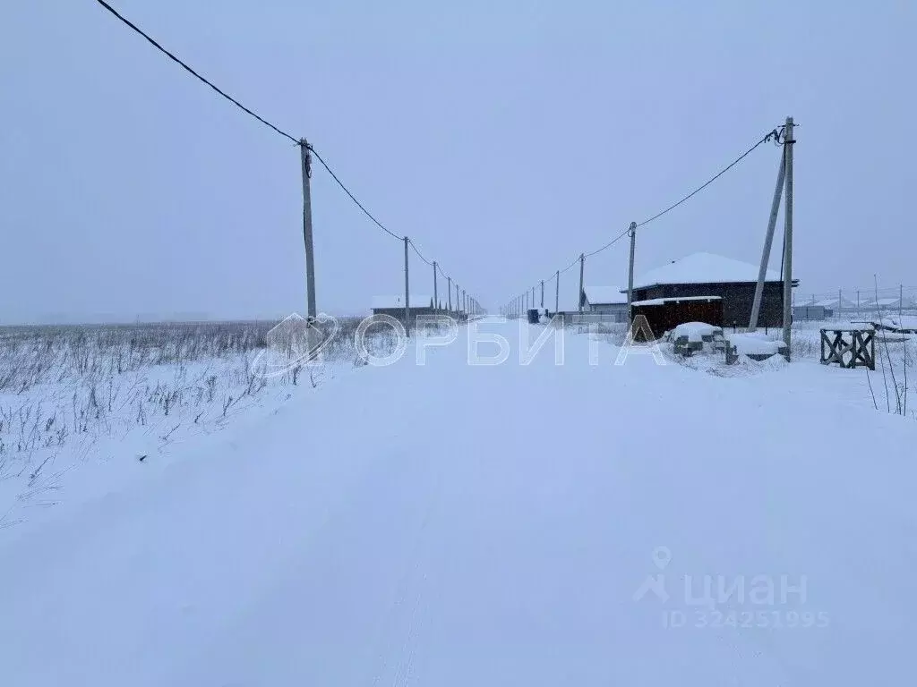 Участок в Тюменская область, Тюменский муниципальный округ, д. Елань ... - Фото 2