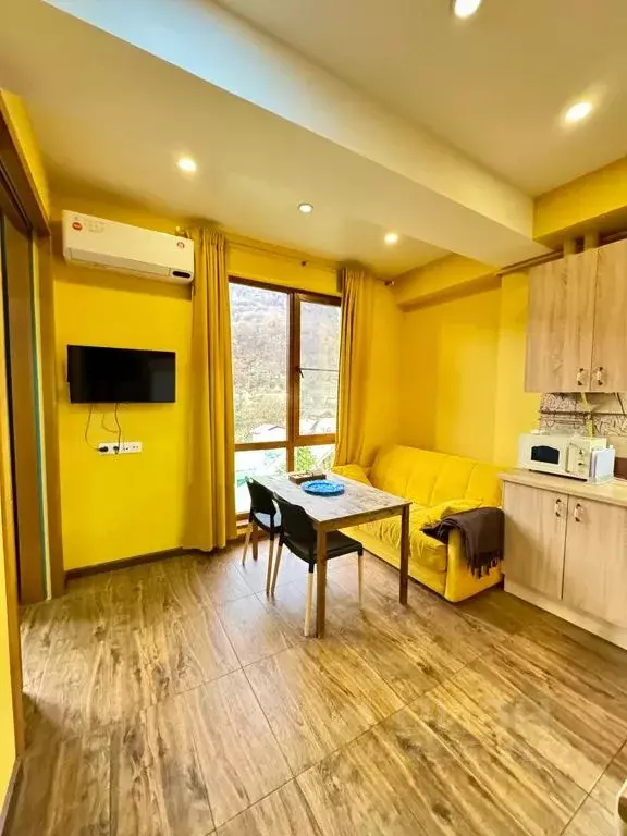 2-к кв. Краснодарский край, Сочи Красная Поляна пгт, ул. Турчинского, ... - Фото 1