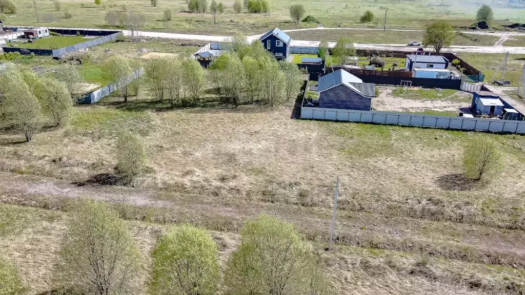 Участок в Ленинградская область, Всеволожский район, Романовское ... - Фото 0
