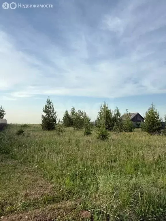 Участок в деревня Подшивалово, улица Лушникова (8 м) - Фото 2