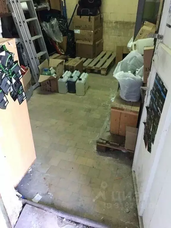 Помещение свободного назначения в Новосибирская область, Новосибирск ... - Фото 1