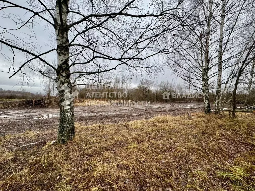 Участок в Рязанская область, Рязанский муниципальный округ, пос. ... - Фото 2